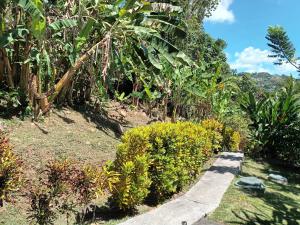 Zahrada ubytování Martinique La petite maison dans la Colline