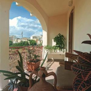 balkon z doniczkami i widokiem na miasto w obiekcie B&B Le Terrazze Lama Balice w mieście Bitonto