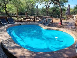 a large swimming pool with blue water in a yard at Khumbula iAfrica 2 in Marloth Park
