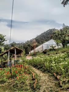 a field of flowers with a building in the background at The Chakras Valley Homestay in Almora