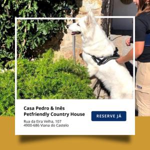 Afbeelding uit fotogalerij van Casa Pedro e Inês in Viana do Castelo