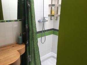 a bathroom with a shower with a green shower curtain at Au Rendez-Vous des Sorciers II in Aniane