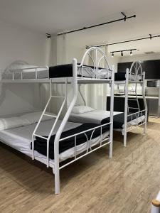 バギオにあるApt 3Hの二段ベッド2組が備わる客室です。