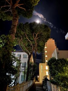 a street at night with a light on a tree at Boutique Hotel Bali in Lido di Jesolo