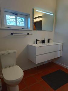 a bathroom with a toilet and a sink and a mirror at de Flyboys in Watou