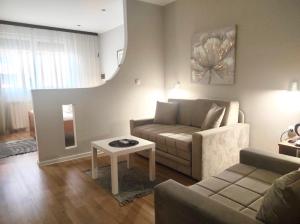 a living room with a couch and a table at Apartments & Accommodation Stojic in Novi Sad