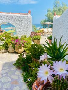 A garden outside The Beachhouse Apartments