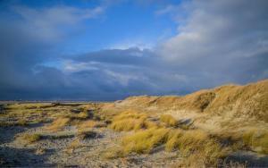 Galeriebild der Unterkunft An Bord - Steuerbord in Sankt Peter-Ording