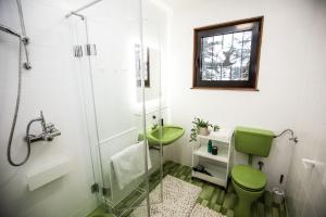 uma casa de banho com um WC verde e uma cabina de duche em vidro. em Nockhaus76 - 70s GLAM in den Nockbergen - Almhaus auf 1560 m em Hochrindl