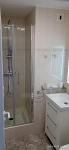 a bathroom with a shower and a sink at T2 cosy Le Pouldu, plages à 300m in Clohars-Carnoët