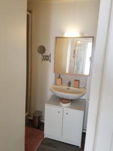 La salle de bains est pourvue d'un lavabo et d'un miroir. dans l'établissement Le flamant rose, à Arles