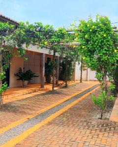 a courtyard with trees and a yellow line at JACY AP GOSTOSO in São Miguel do Gostoso