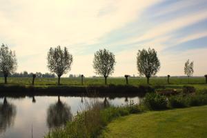 un estanque con árboles en medio de un campo en Caravan met wijds uitzicht, en Kuinre