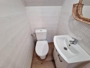 Koupelna v ubytování Domek Borsk Całoroczny + 12 fotografií