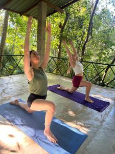Dos mujeres haciendo una pose de yoga en esterillas en Kandy Eco Retreat, en Kandy