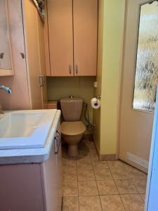 a small bathroom with a toilet and a sink at Apartment Festival Street 11 in Cēsis