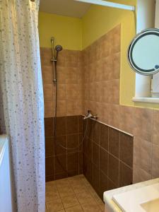 a shower with a shower curtain in a bathroom at Apartment Festival Street 11 in Cēsis