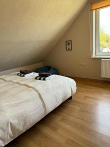 a bedroom with a large bed in a attic at Apartment Festival Street 11 in Cēsis
