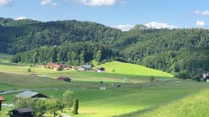 a green field with houses and trees on a hill at Ferienwohnung Doffenmühle in Marktschellenberg