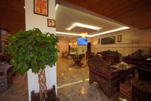 uma sala com uma planta no meio em Petra Plaza Hotel em Wadi Musa