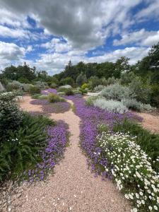 un giardino pieno di fiori viola e bianchi di Casale Terre Rosse a Saturnia