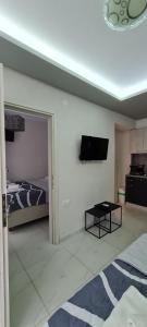 a room with a bed and a tv on a wall at D&B Apartment 1 in Paralia Katerinis