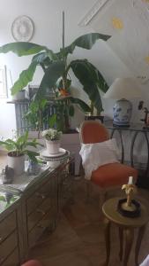 Zimmer mit einem Schreibtisch, einem Stuhl und einer Pflanze in der Unterkunft Ô 3 parasols in Sète