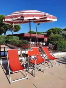 Φωτογραφία από το άλμπουμ του Premium Apartment Mono A1 σε Marina di Bibbona
