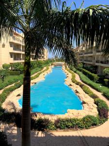 une piscine avec un palmier en face d'un bâtiment dans l'établissement Chez Sam, à Charm el-Cheikh