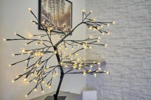 Mynd úr myndasafni af Plešivec - TREE í Abertamy
