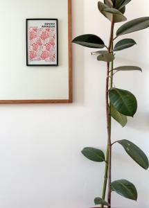 a plant in front of a picture frame next to a wall at Hacienda Hotel in Friedrichshafen