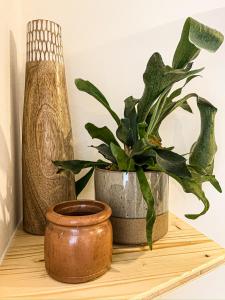 a plant sitting on a shelf with other plants at Hacienda Hotel in Friedrichshafen