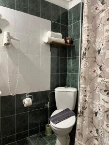 a bathroom with a toilet and a shower curtain at VILLA ELLI with free private Parking in Olympic Beach +136 photos