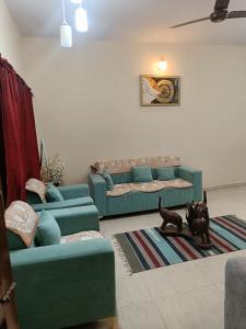 uma sala de estar com um sofá e um gato num tapete em Div's luxurious homestay em Jaipur