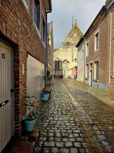 um beco com vasos de plantas numa rua de calçada em Begijnhof Historica Tongeren em Tongeren