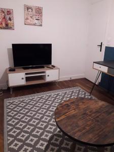a living room with a flat screen tv and a rug at Chambre Salon Sdb Jardin près Bordeaux in Cestas +6 photos