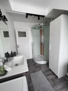 ein Bad mit einer Dusche, einem Waschbecken und einem Spiegel in der Unterkunft La Maison d Elodie in Vierzon