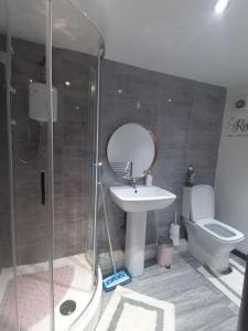 a bathroom with a shower and a sink and a toilet at A Cosy Deluxe Size Studio With Queen size and Sofa Bed in Leeds