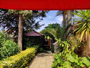 a house with a red umbrella and some plants at Доли in Pomorie