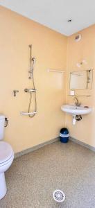 La salle de bains est pourvue d'une douche, de toilettes et d'un lavabo. dans l'établissement Maison Notre Dame des Apôtres, à Capbreton