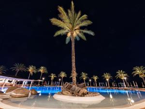 a palm tree in the middle of a pool at night at Almar Timi Ama Resort & Spa in Villasimius