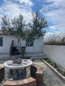 Fotografie z fotogalerie ubytování Diarla's Home 4 v destinaci Darëzeza e Re
