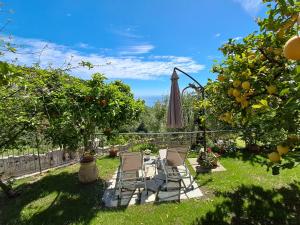 un patio con dos sillas y una sombrilla y un naranjo en Florinda Lemon's Suite, en Cervo