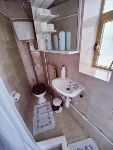 a small bathroom with a toilet and a sink at Traditional Maltese townhouse in Rabat in Rabat