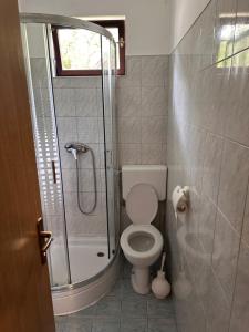 a small bathroom with a toilet and a shower at Guest House Štefanija in Poljanak