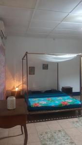 a bed with a canopy in a room at Savanna votre location á la semaine in Antsiranana