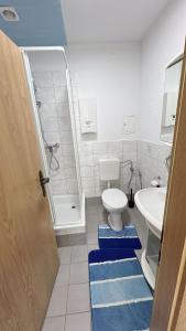 uma casa de banho com um WC, um lavatório e um chuveiro em Berzi Ferienwohnung 002 Görlitz em Markersdorf