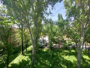 a green yard with trees in front of a building at Уютный уголок рядом с ЦУМом и ГУМом 2 in Bishkek