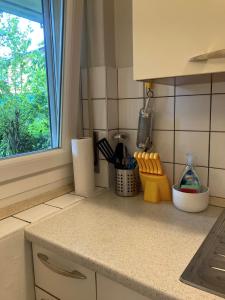 eine Küche mit einer Arbeitsplatte und einem Fenster in der Unterkunft Molino Nuovo in Vacallo