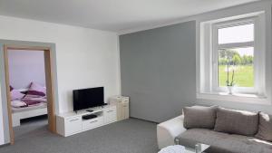 a living room with a couch and a tv and a mirror at Berzi Ferienwohnung 2 Görlitz in Görlitz